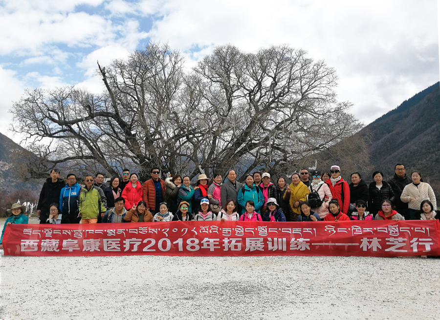 西藏阜康醫(yī)療2018年拓展訓(xùn)練——增強(qiáng)團(tuán)隊(duì)凝聚力、提升團(tuán)隊(duì)協(xié)作能力，更好地為患者服務(wù)