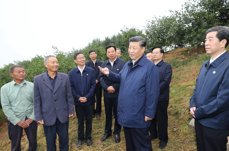 　　9月16日至18日，中共中央總書記、國家主席、中央軍委主席習(xí)近平在河南考察。這是17日上午，習(xí)近平來到信陽市光山縣槐店鄉(xiāng)司馬光油茶園，同正在勞作的村民和管理人員交流。 新華社記者 鞠鵬 攝