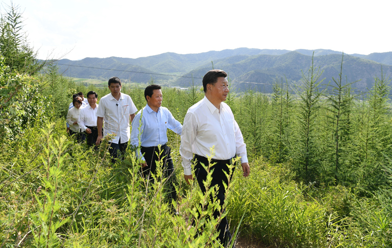 7月15日至16日，中共中央總書記、國家主席、中央軍委主席習(xí)近平在內(nèi)蒙古考察并指導(dǎo)開展“不忘初心、牢記使命”主題教育。這是15日下午，習(xí)近平在赤峰市喀喇沁旗馬鞍山林場林區(qū)，沿著崎嶇的護林小道察看林木長勢。